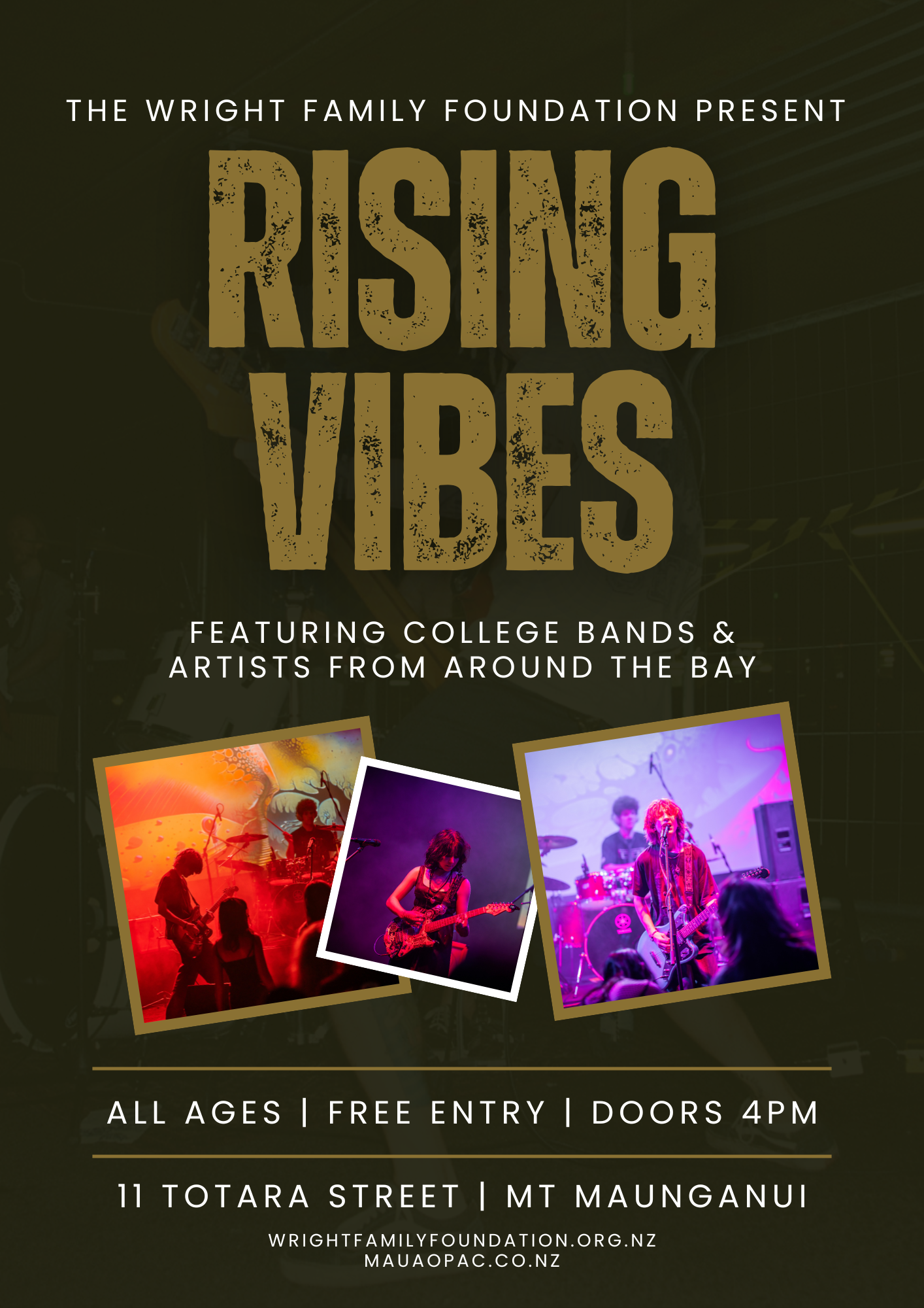 RISING VIBES Poster (2).png