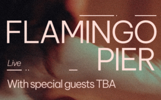 Flamingo Pier | TOTARA ST